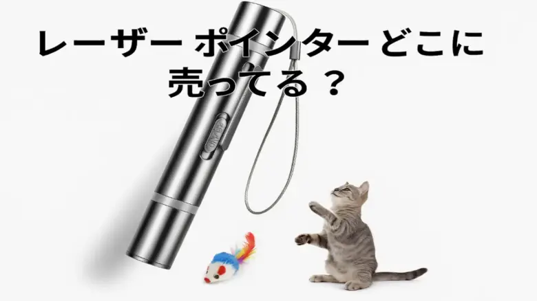 猫とレーザーポインターを使ったイメージ画像、販売場所の解説に適したビジュアル